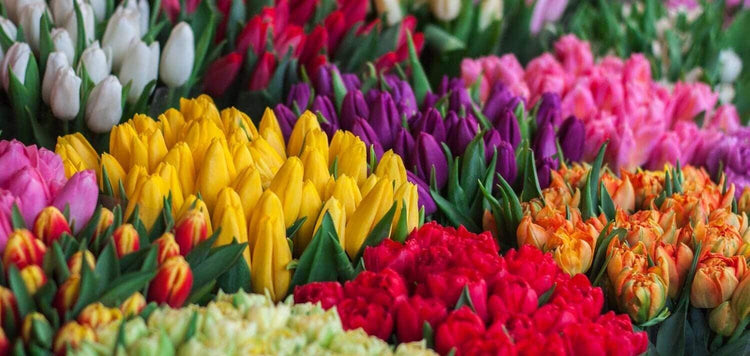 Baños de flores